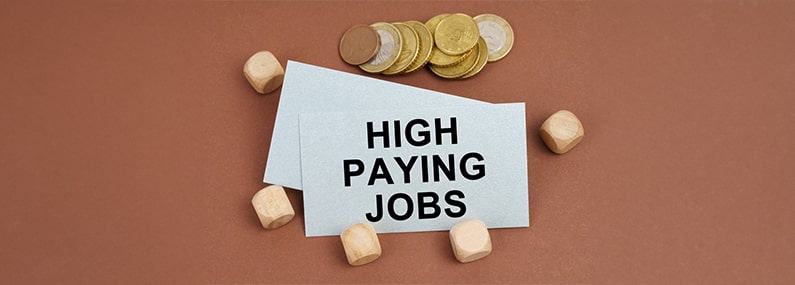 Highest Paying Jobs in IT